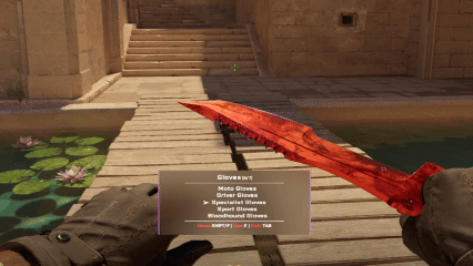 Gloves Purchase Preview - !ws