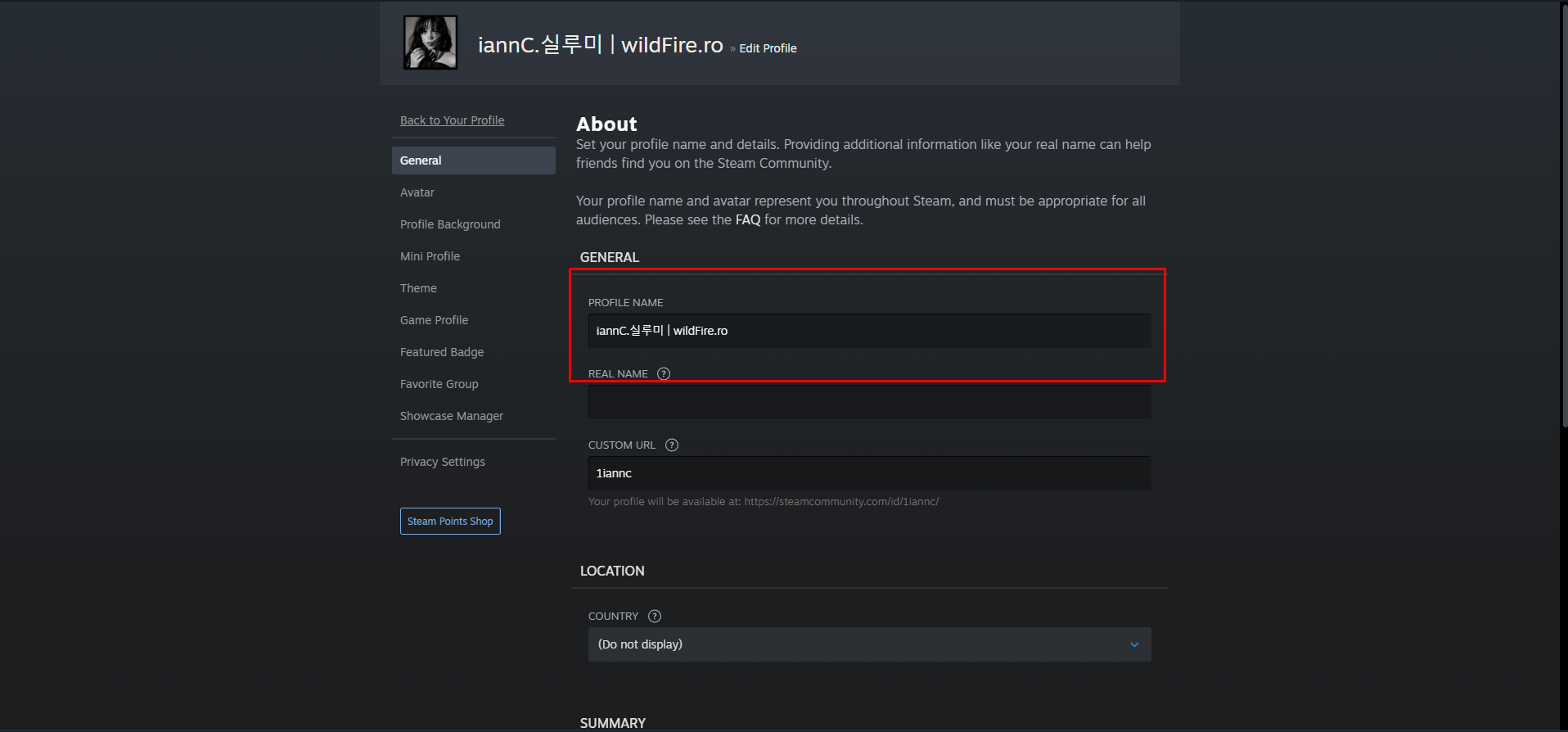 Adăugare cs2.wildfire.ro în nume